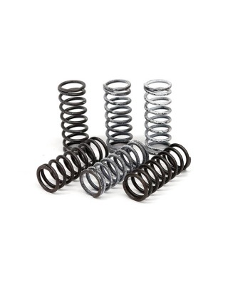 TRW clutch spring kit