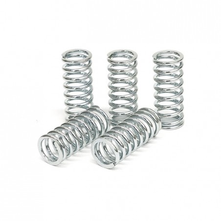 TRW clutch spring kit