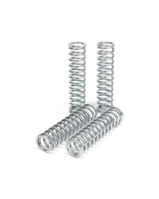 TRW clutch spring kit