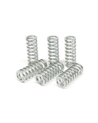 TRW clutch spring kit