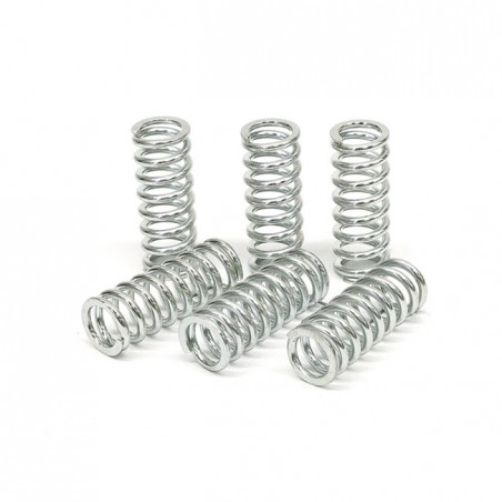 TRW clutch spring kit