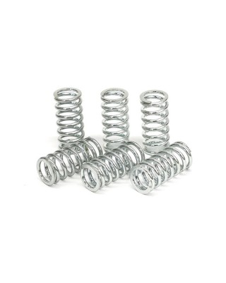 TRW clutch spring kit