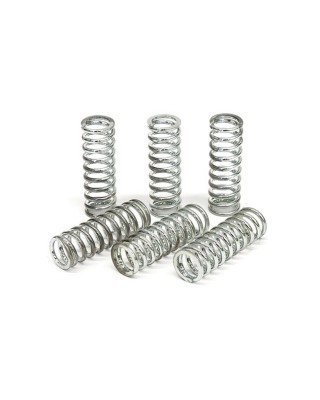 TRW clutch spring kit