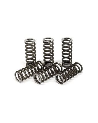 TRW clutch spring kit