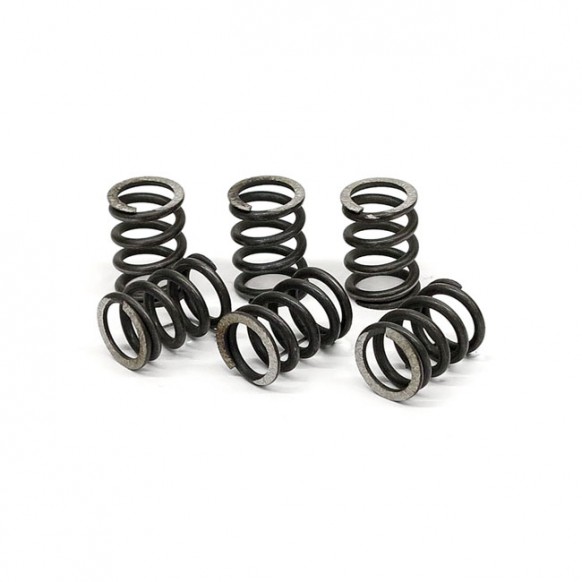 TRW clutch spring kit