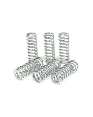 TRW clutch spring kit