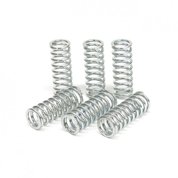 TRW clutch spring kit