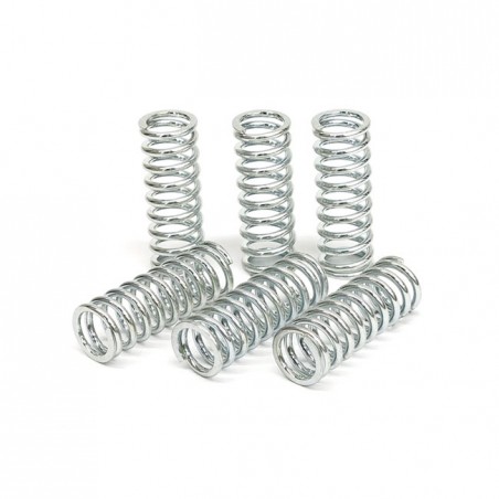TRW clutch spring kit