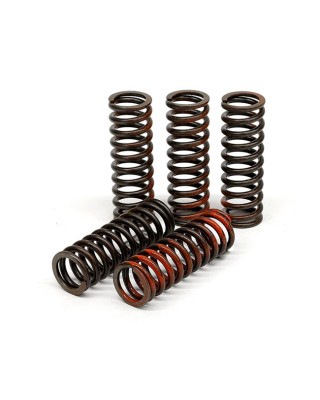 TRW clutch spring kit