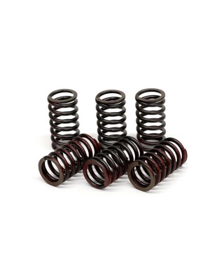 TRW clutch spring kit