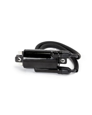 Rick's ignition coil