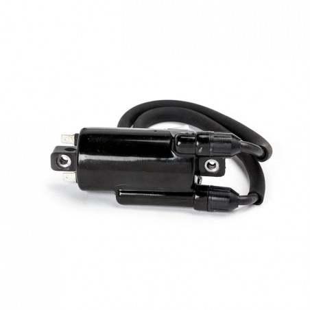 Rick's ignition coil