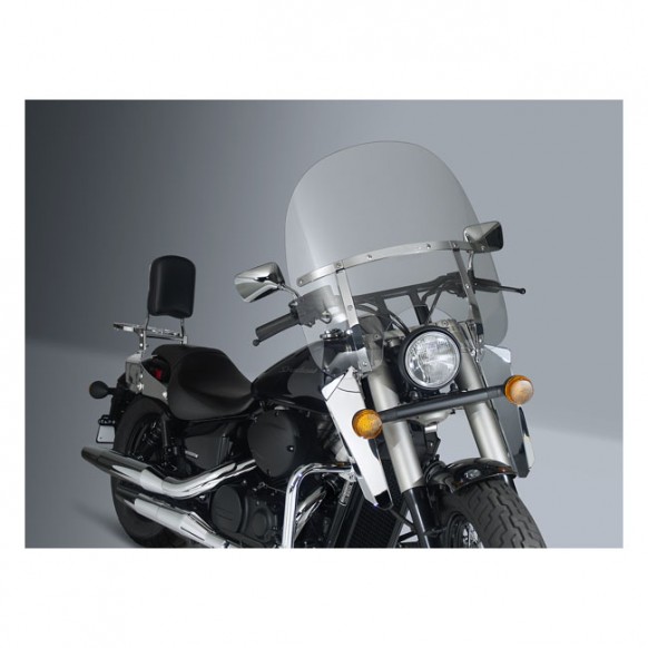 NATIONAL CYCLE SWITCHBLADE 2-UP CLEAR