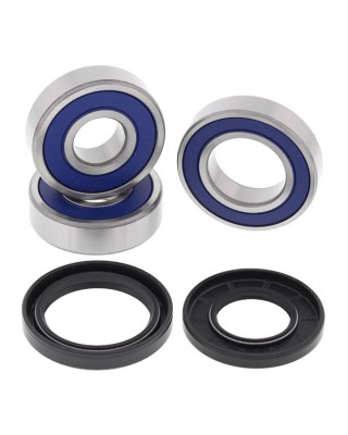 All Balls wheel bearing kit, rear