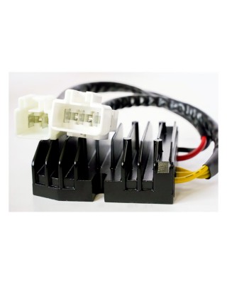 Rick's Lithium ion battery compatible rec-regulator