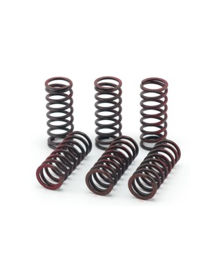 TRW clutch spring kit