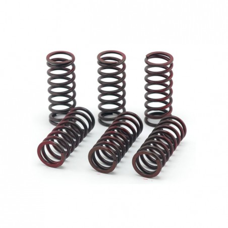 TRW clutch spring kit