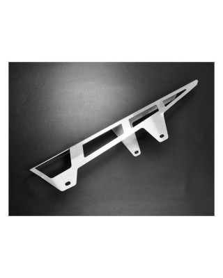 Zieger chain guard silver