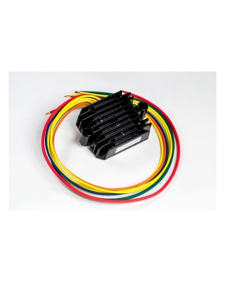 Rick's rectifier-regulator universal style
