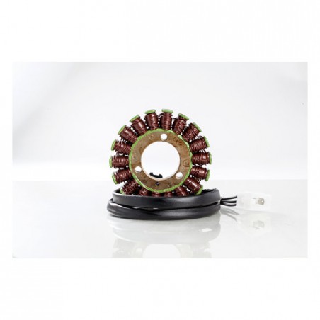 Rick's stator, OEM style Suzuki