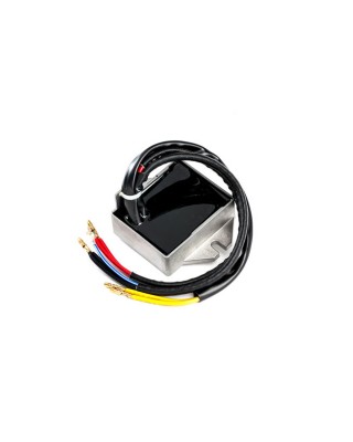 Rick's rectifier-regulator universal style