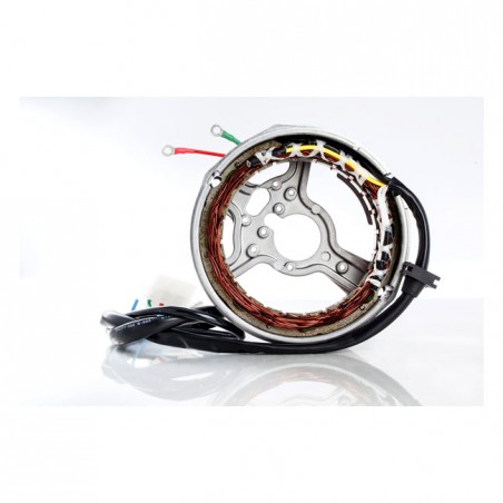 Rick's stator, OEM style Yamaha