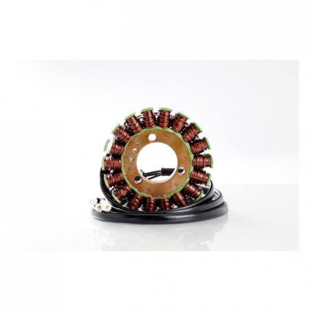 Rick's stator, OEM style Suzuki