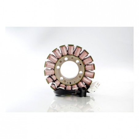 Rick's stator, OEM style Suzuki