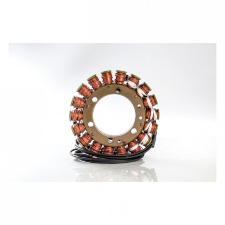 Rick's stator, OEM style Suzuki