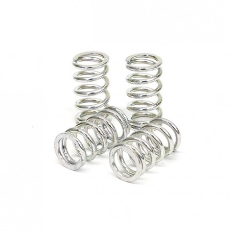 TRW clutch spring kit