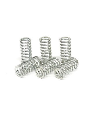 TRW clutch spring kit