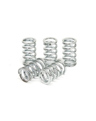 TRW clutch spring kit