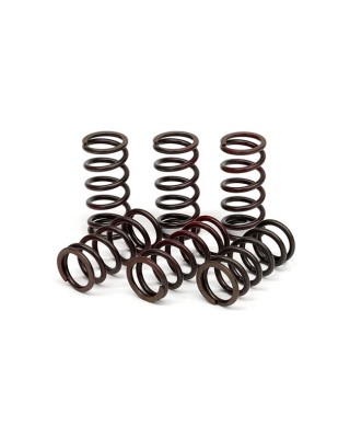 TRW clutch spring kit