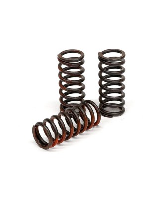 TRW clutch spring kit