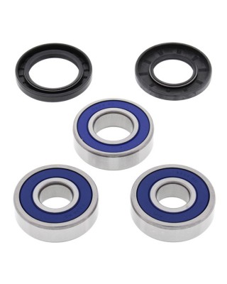 All Balls wheel bearing kit, rear
