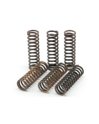 TRW clutch spring kit
