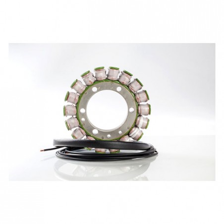 Rick's stator, OEM style Suzuki