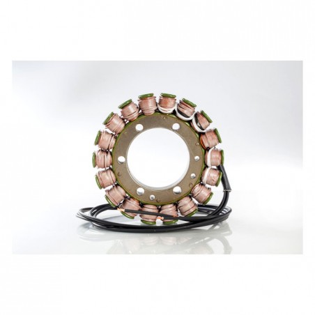 Rick's stator, OEM style Suzuki