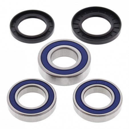 All Balls wheel bearing kit, rear