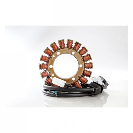 Rick's stator, OEM style Suzuki