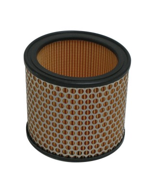 MIW, replacement air filter P5109