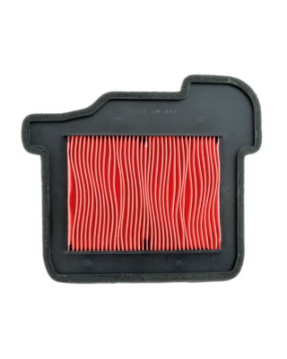 MIW, replacement air filter Y4251