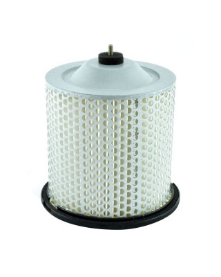 MIW, replacement air filter S3195