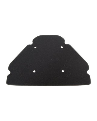 MIW, replacement air filter K2159