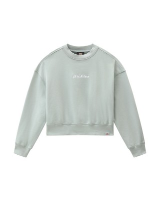Dickies Loretto Boxy sweatshirt jadeite