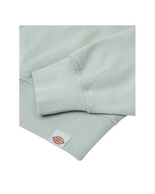Dickies Loretto Boxy sweatshirt jadeite