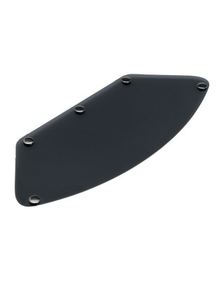 Biltwell Gringo blast shield, smoke