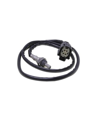 CVP, oxygen sensor Front: 12-17 Softail 12-17 Dyna 13-17 V-Rod.