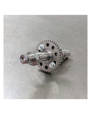 S&S, High-Performance camshaft kit with shims