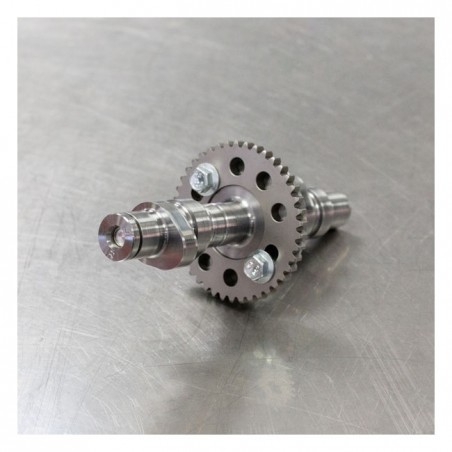S&S, High-Performance camshaft kit with shims